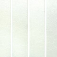 WF12