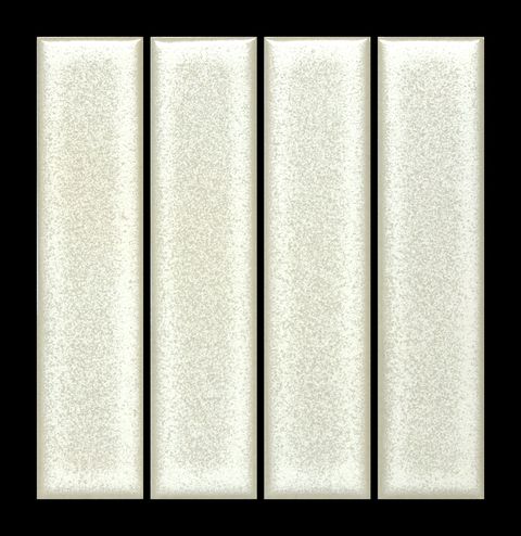 Silver Frost